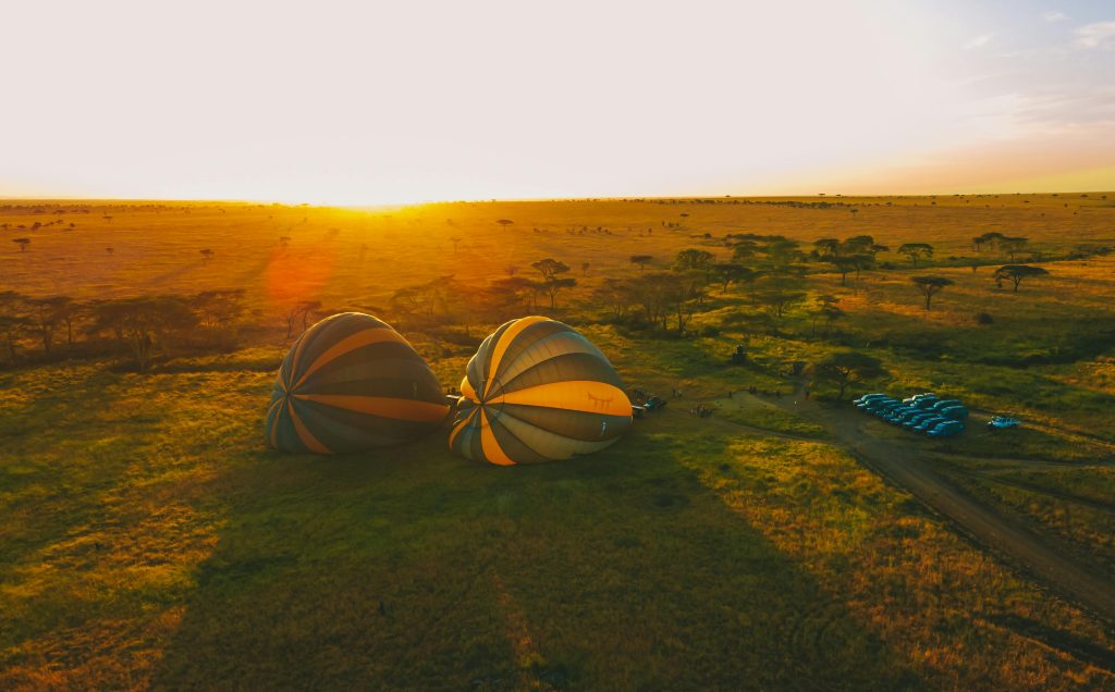 Essential Tips for a Successful Safari in Maasai Mara